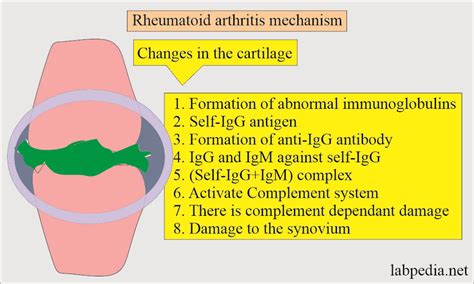 rheumatoid arthritis rf